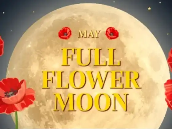 Meditação da Lua Cheia